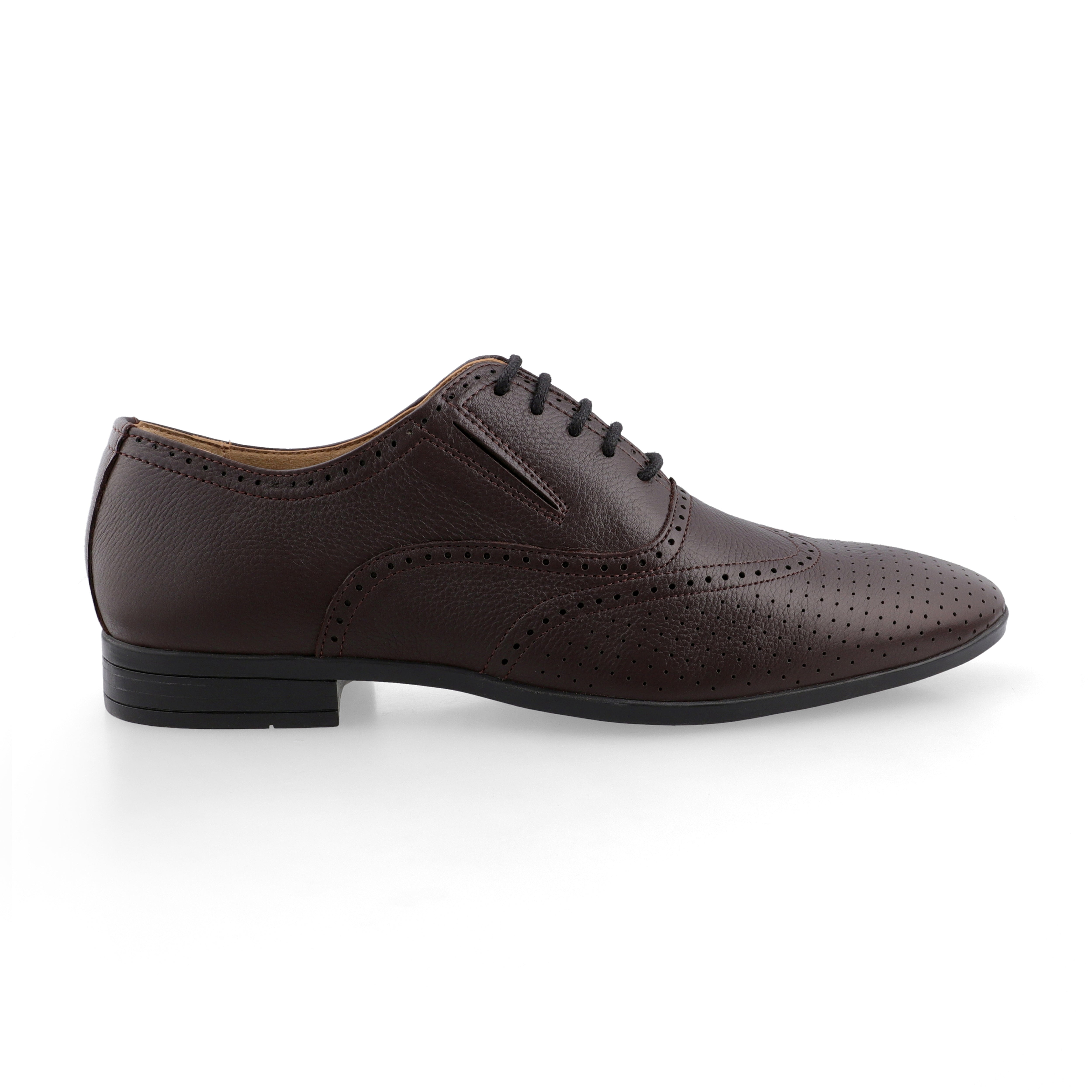 Brogue Dotted Oxfords-Brown